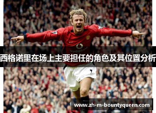 西格诺里在场上主要担任的角色及其位置分析