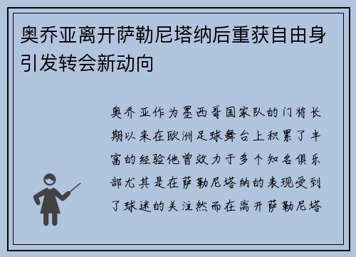 奥乔亚离开萨勒尼塔纳后重获自由身引发转会新动向 奥乔亚离开萨勒尼塔纳后重获自由身引发转会新动向
